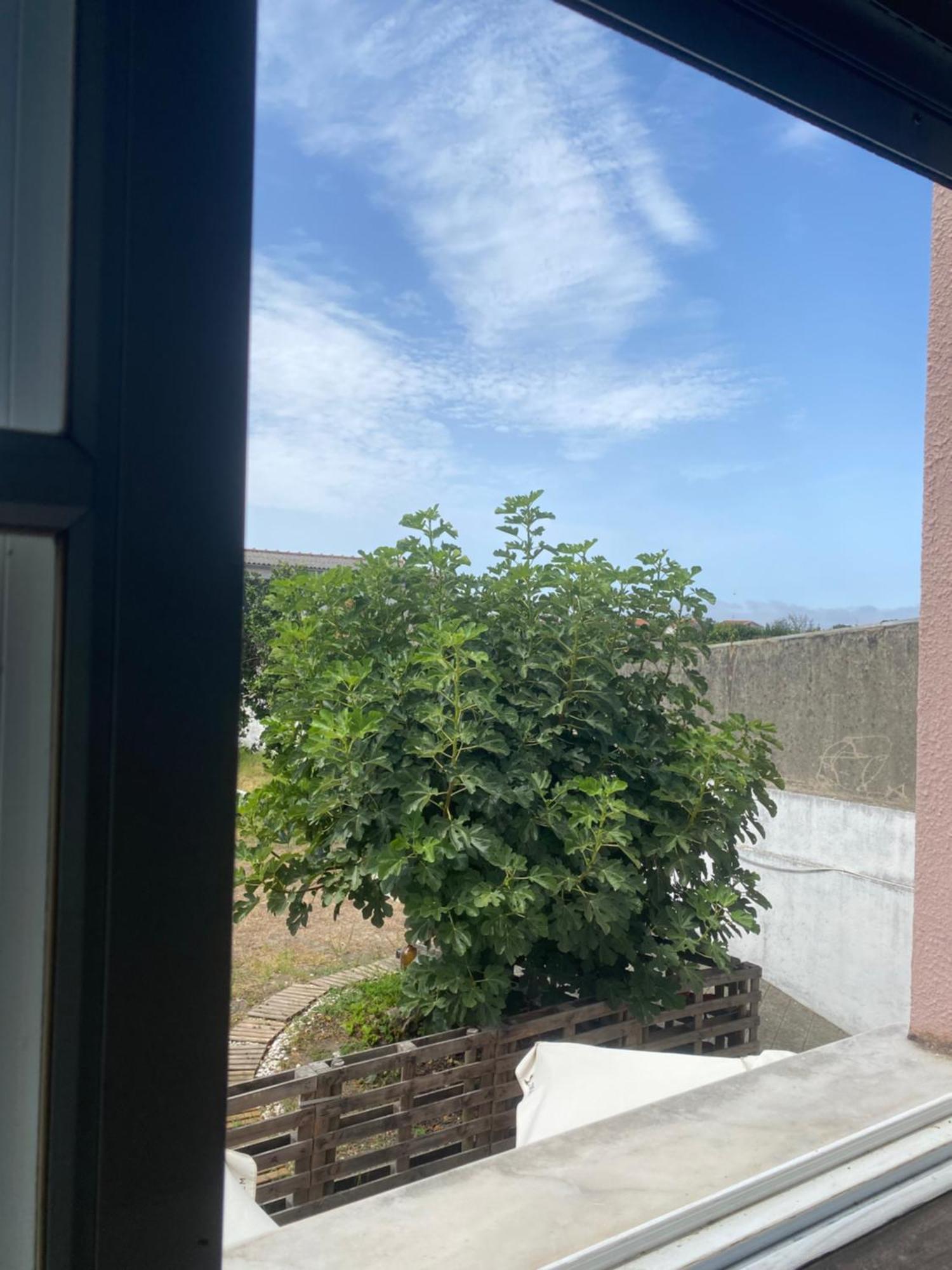 Garden Hostel Aradas Eksteriør billede